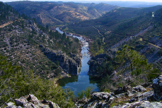 A Geologia e preservação do património geológico