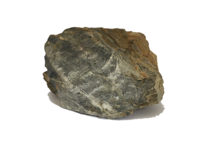 Rocha ou trilobite?