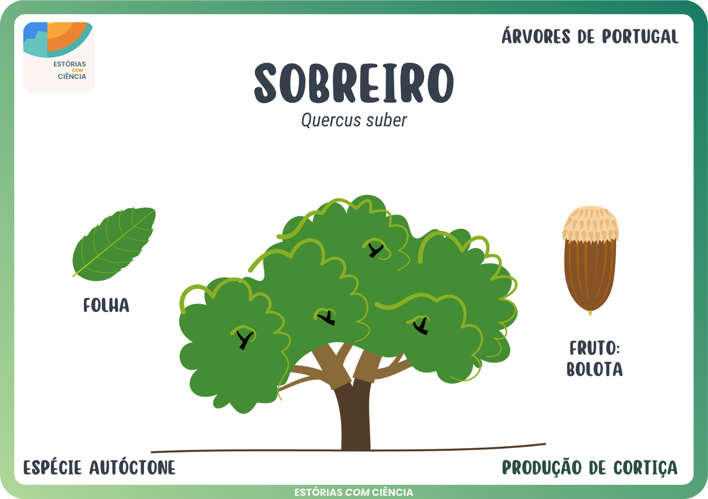 Cartões Botânicos — Árvores de Portugal