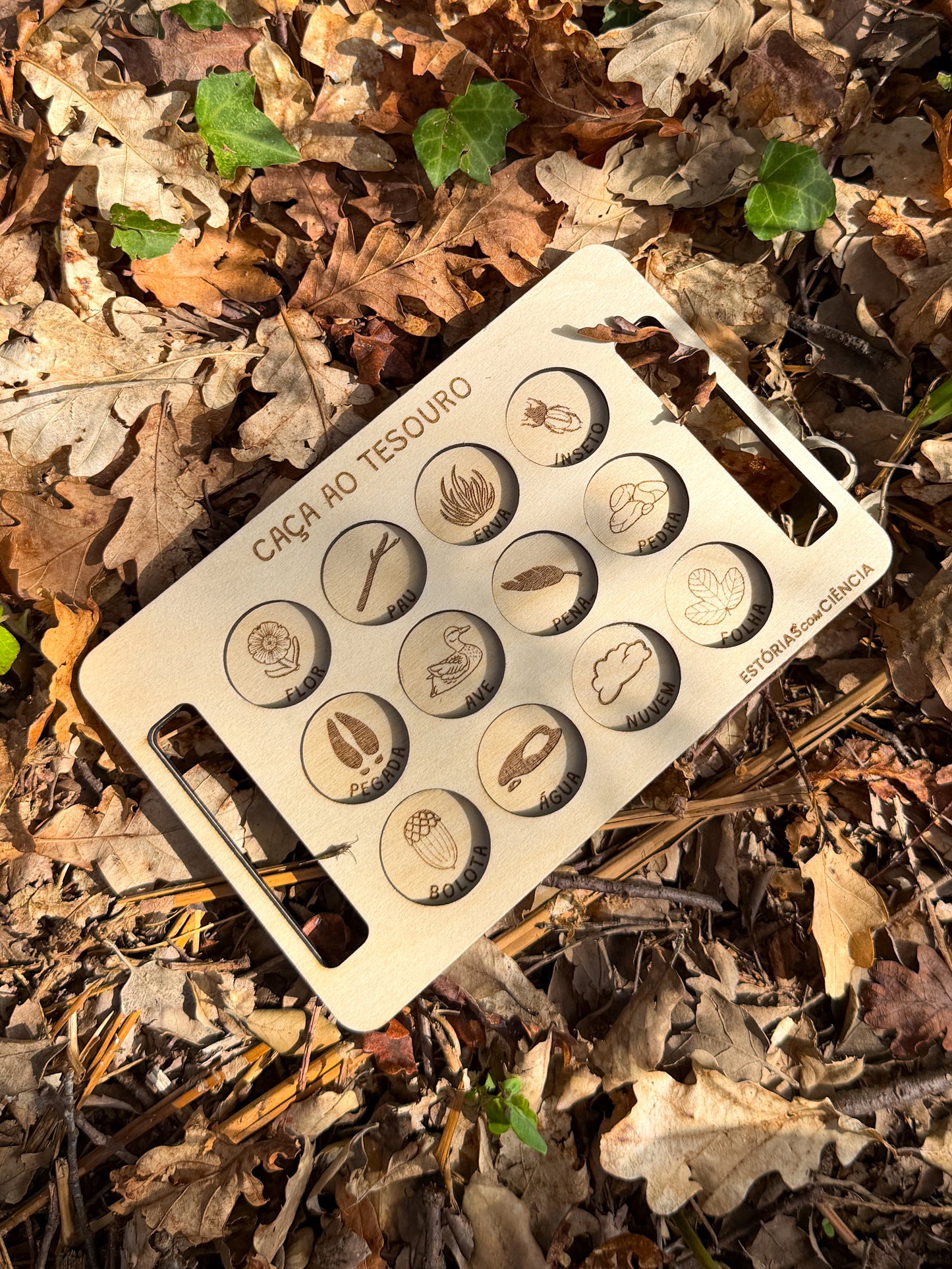 Caça ao Tesouro - Quadro reutilizável