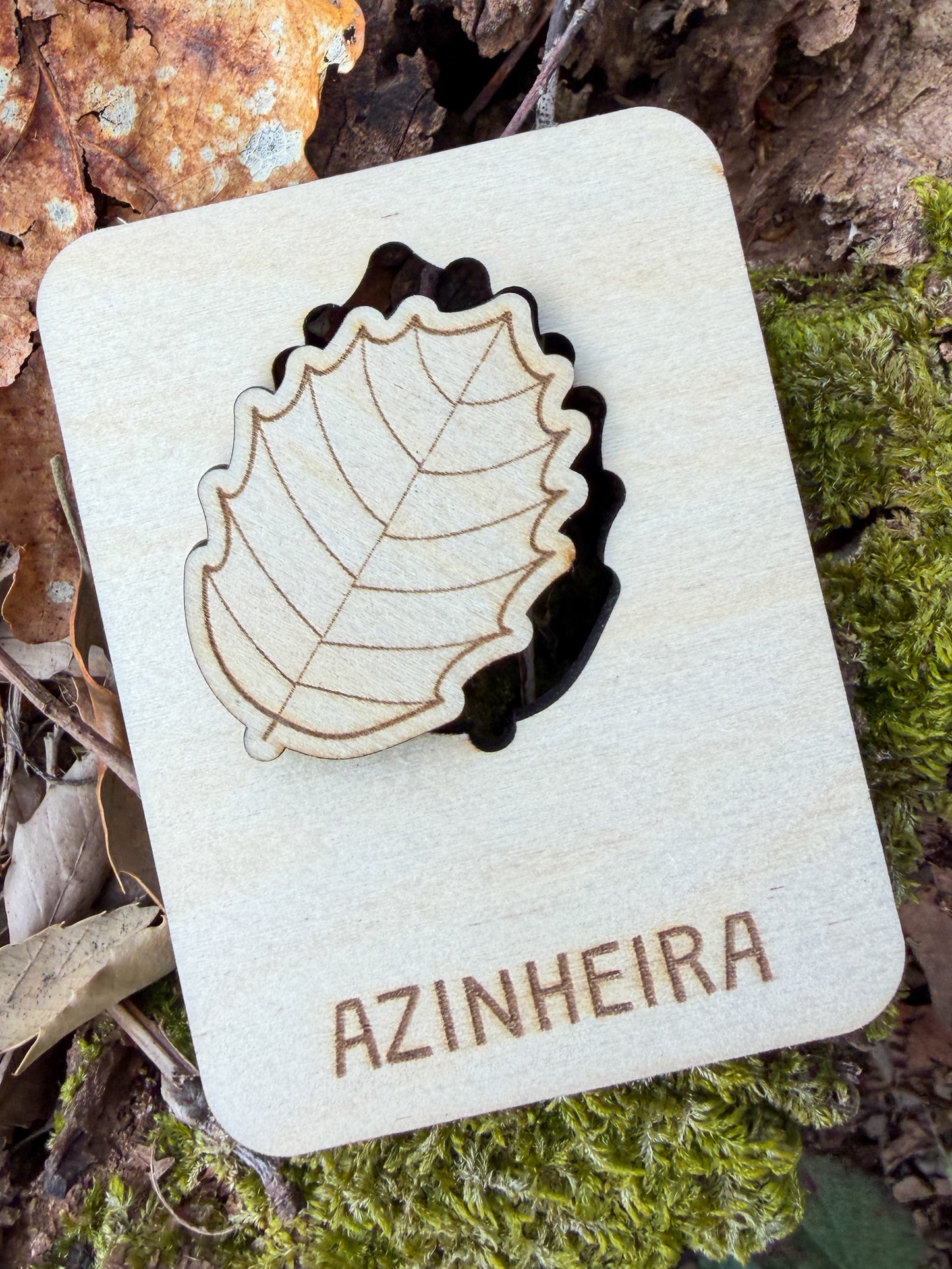 Conheces esta Folha? - Puzzle