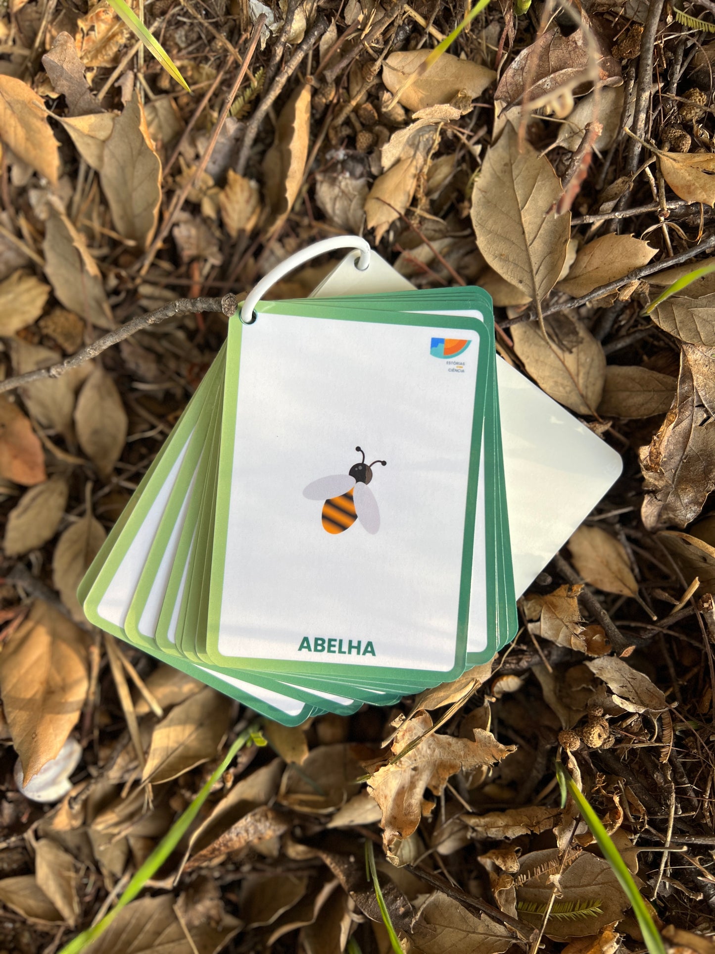 Cartões da Natureza
