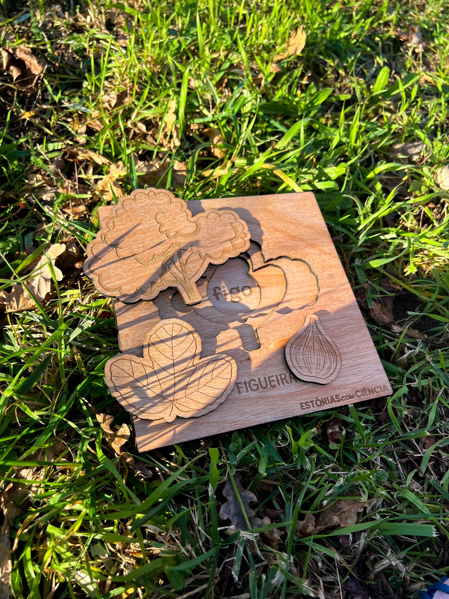 Árvores de Portugal- puzzle individual