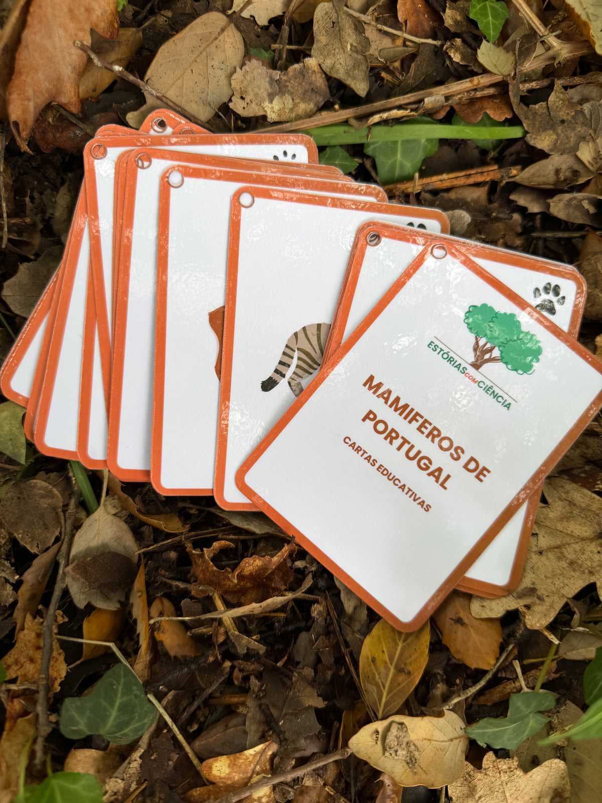 Cartas dos Mamíferos