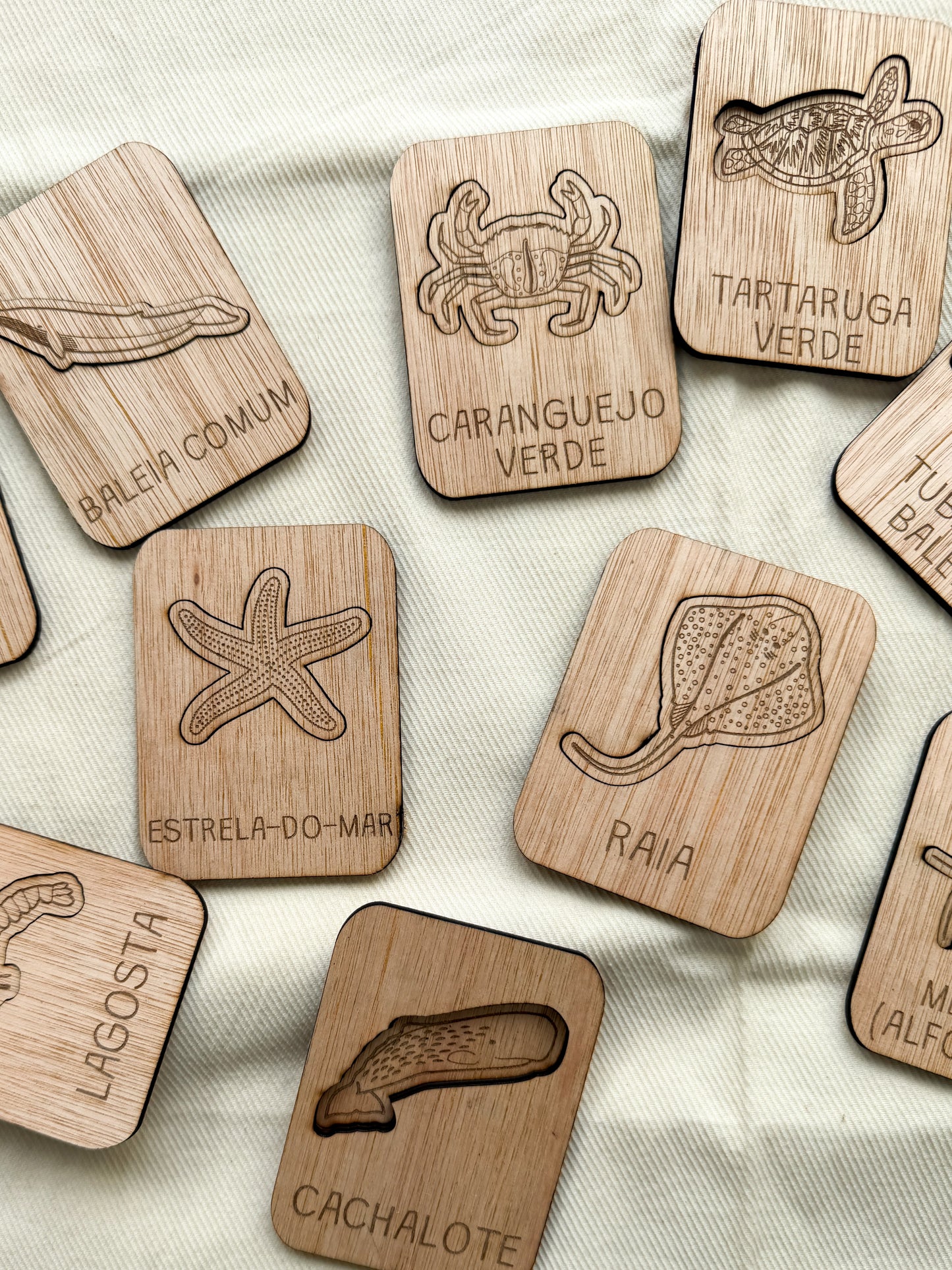 Animais do Oceano - Puzzle