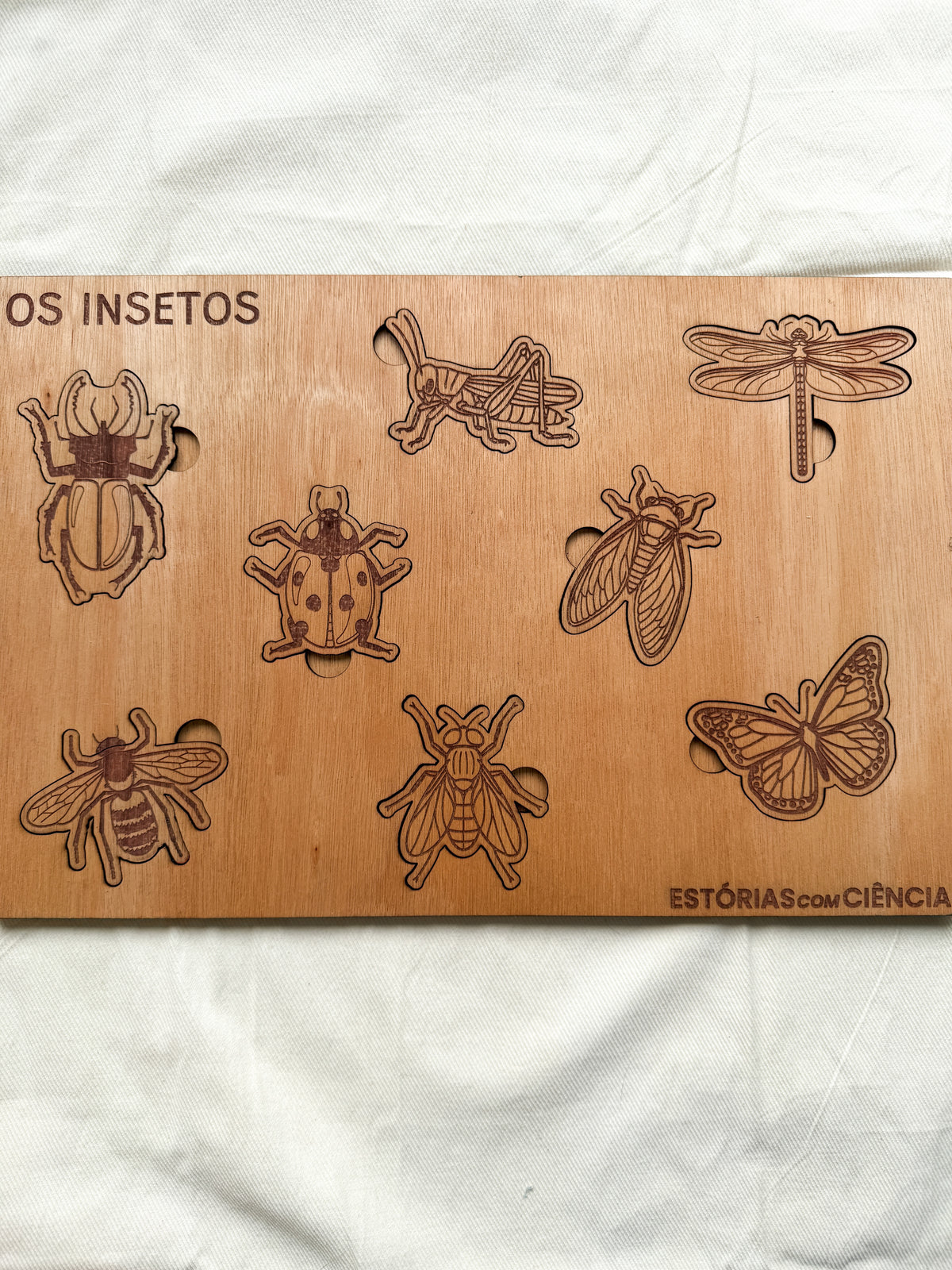 Os Insetos - Puzzle Grande