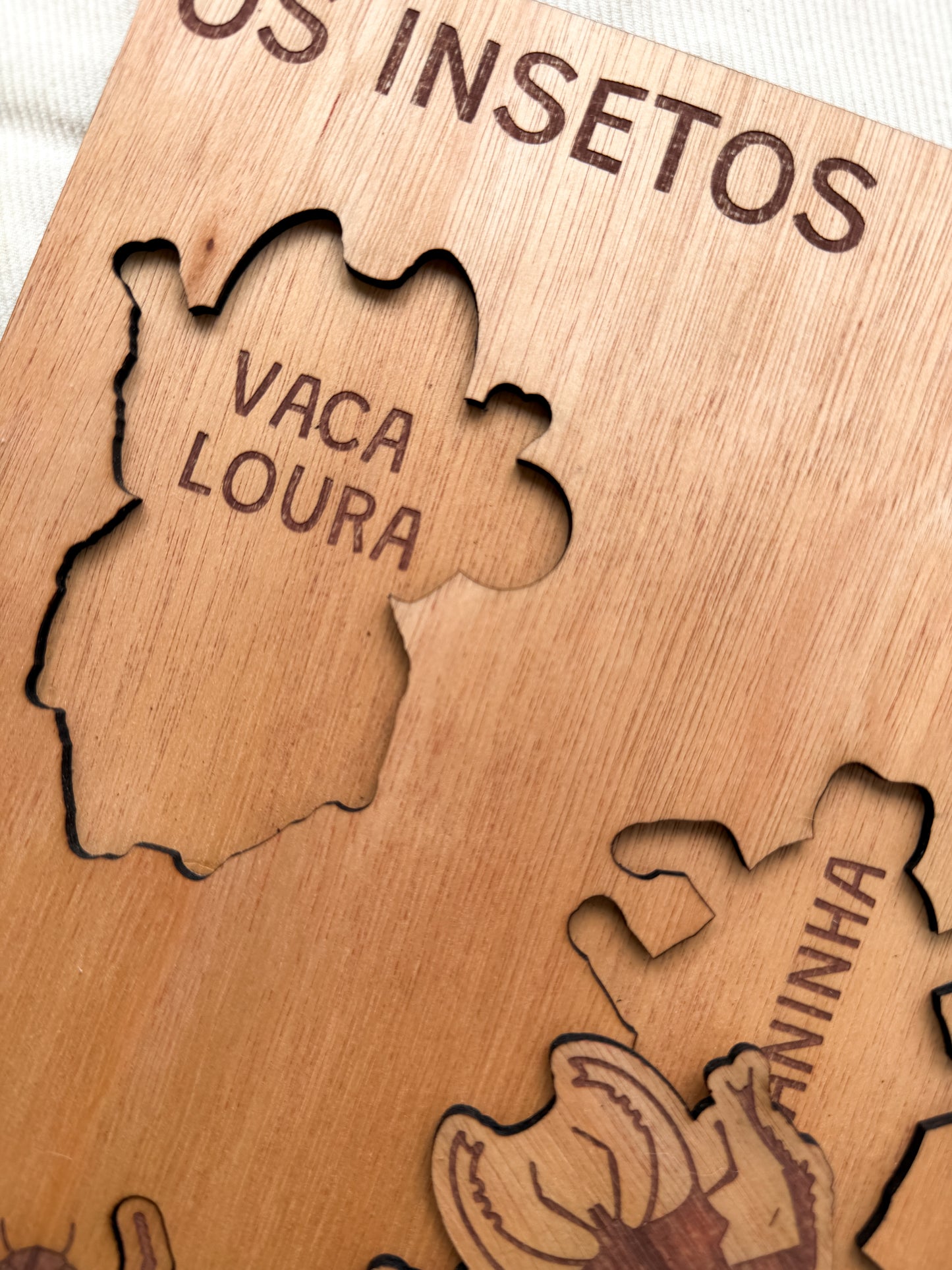 Os Insetos - Puzzle Grande