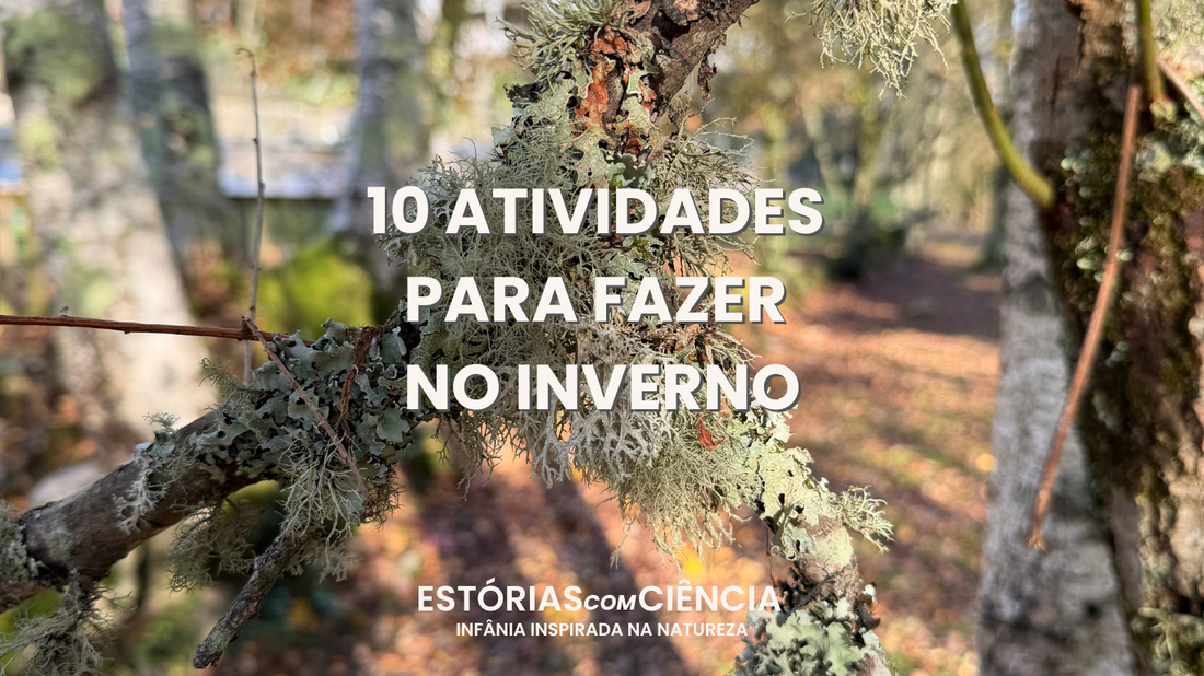 ❄️ 10 atividades de natureza para fazer no inverno