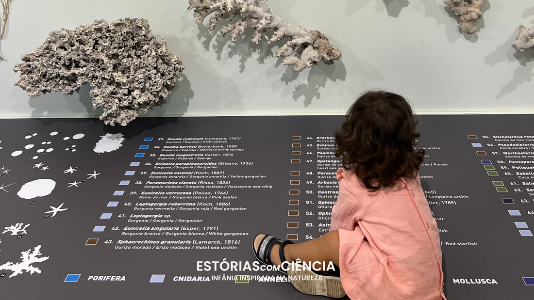 A Criança Cientista