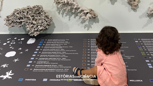 A Criança Cientista