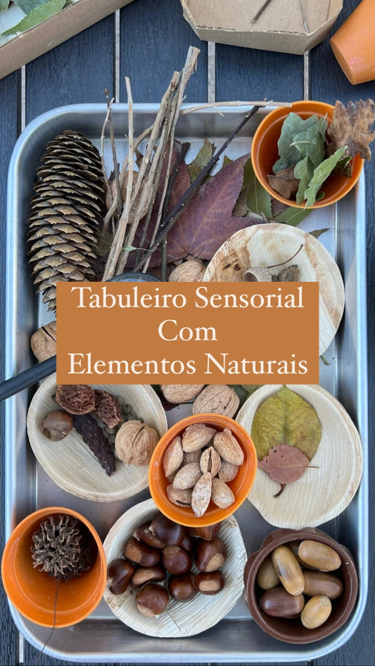 Tabuleiro sensorial com elementos naturais