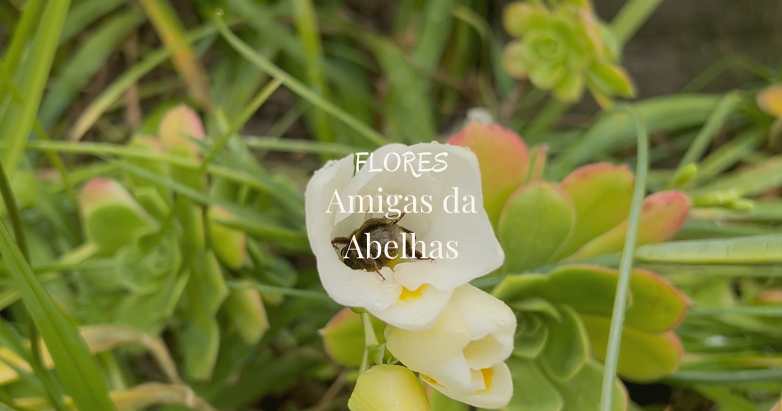 Flores Amigas das Abelhas