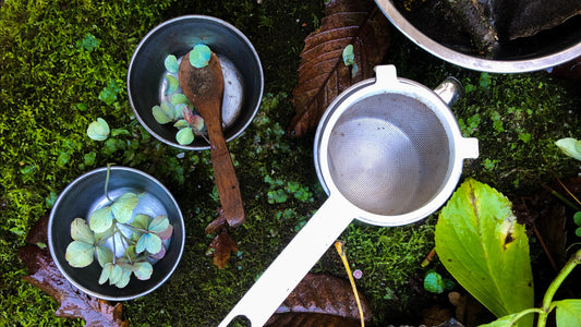 A natureza é um Laboratório