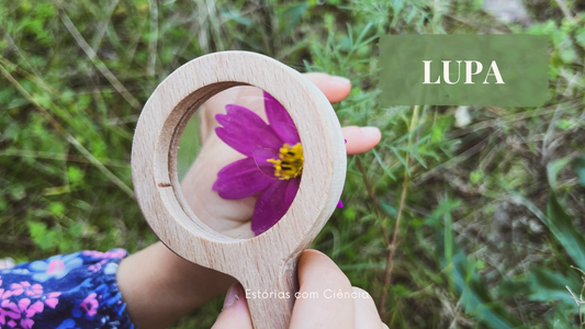 Lupa – Uma lente para o mundo