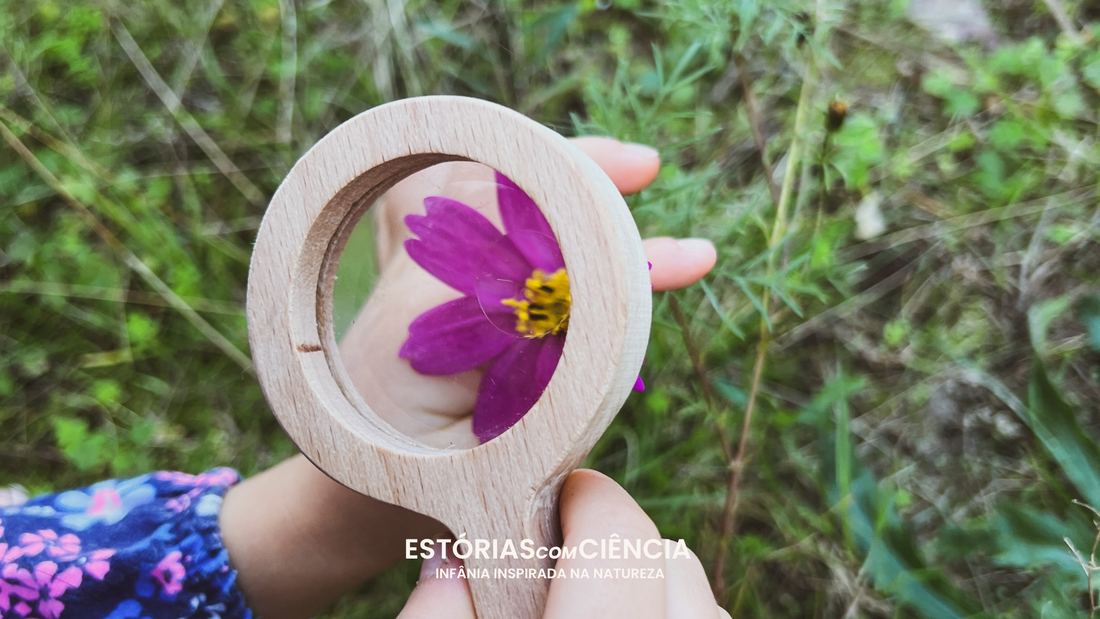 Lupa: Uma lente para o mundo