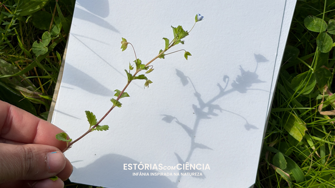 Prensar flores com crianças