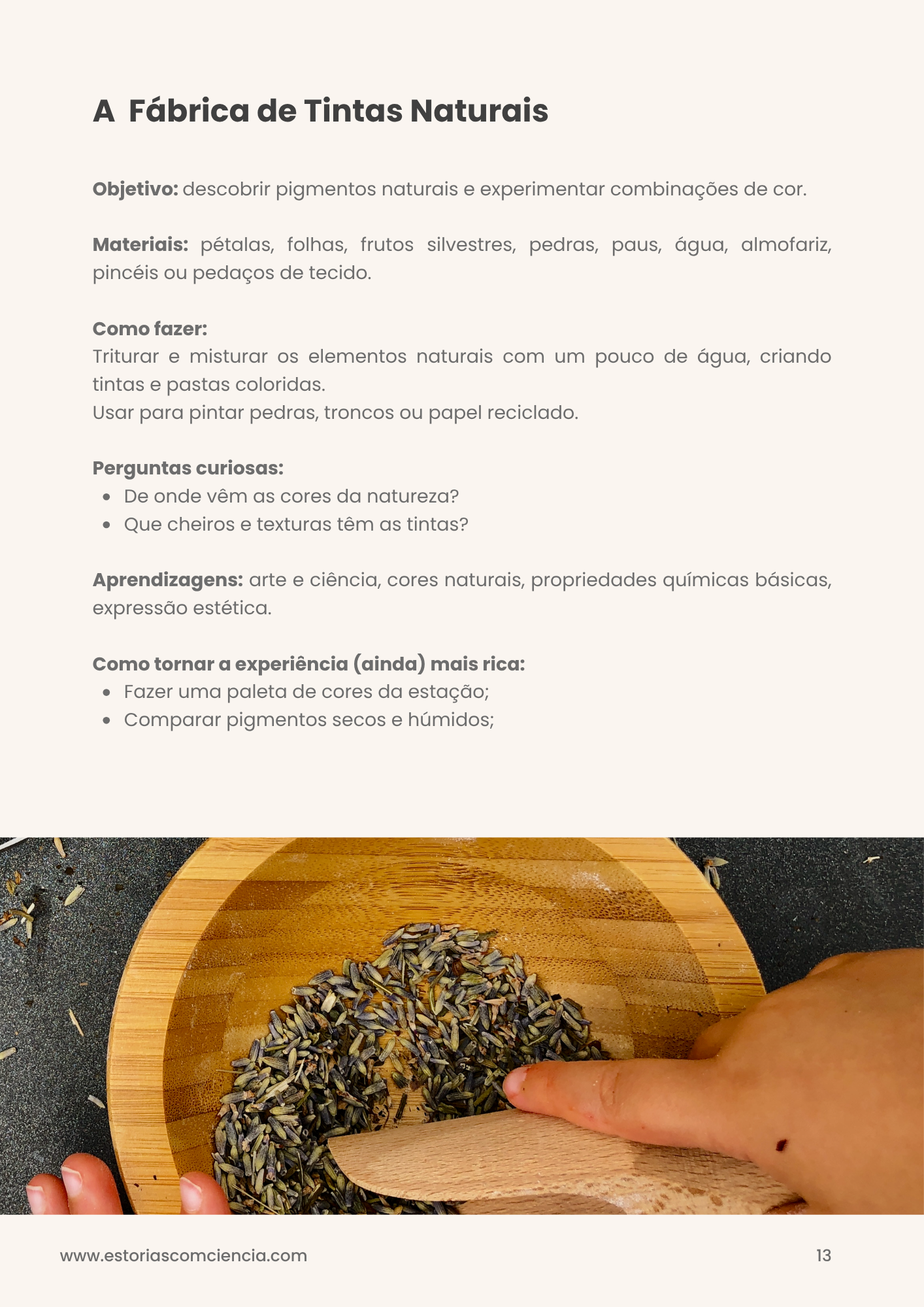 Guia Gratuito: Cozinhas de Lama