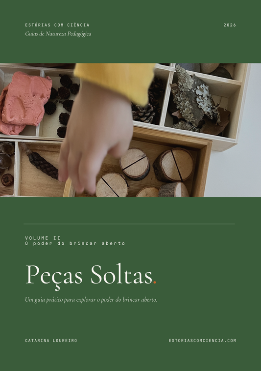 Peças Soltas - O Poder do Brincar Aberto