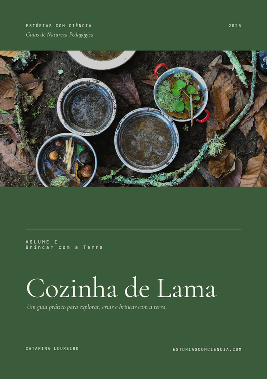 Guia Prático: Cozinhas de Lama