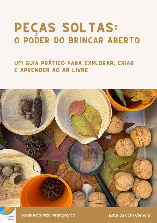 Peças Soltas - O Poder do Brincar Aberto