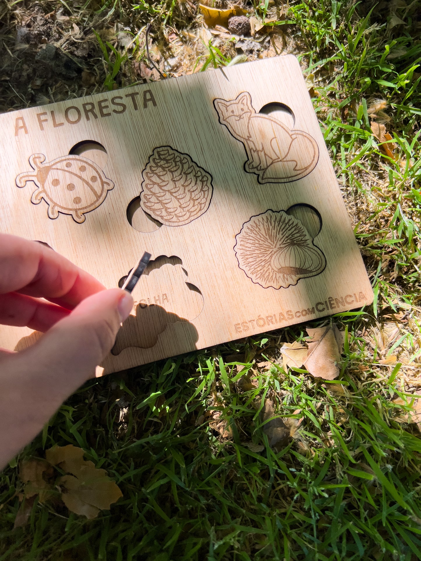 A Floresta - Puzzle