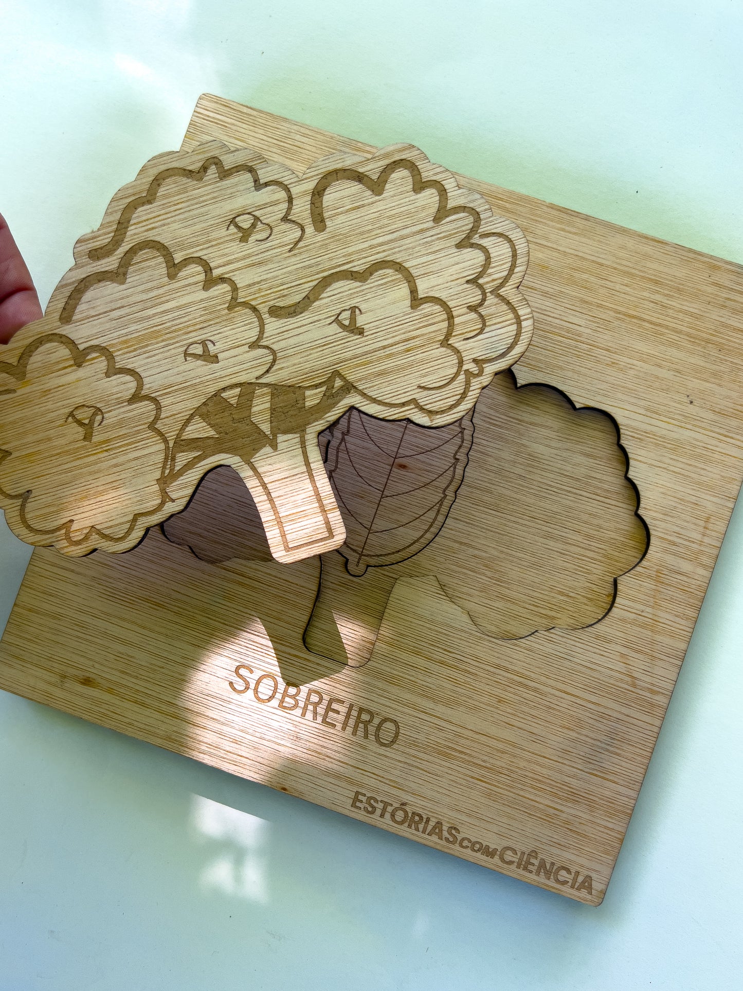 Árvores de Portugal- puzzle individual