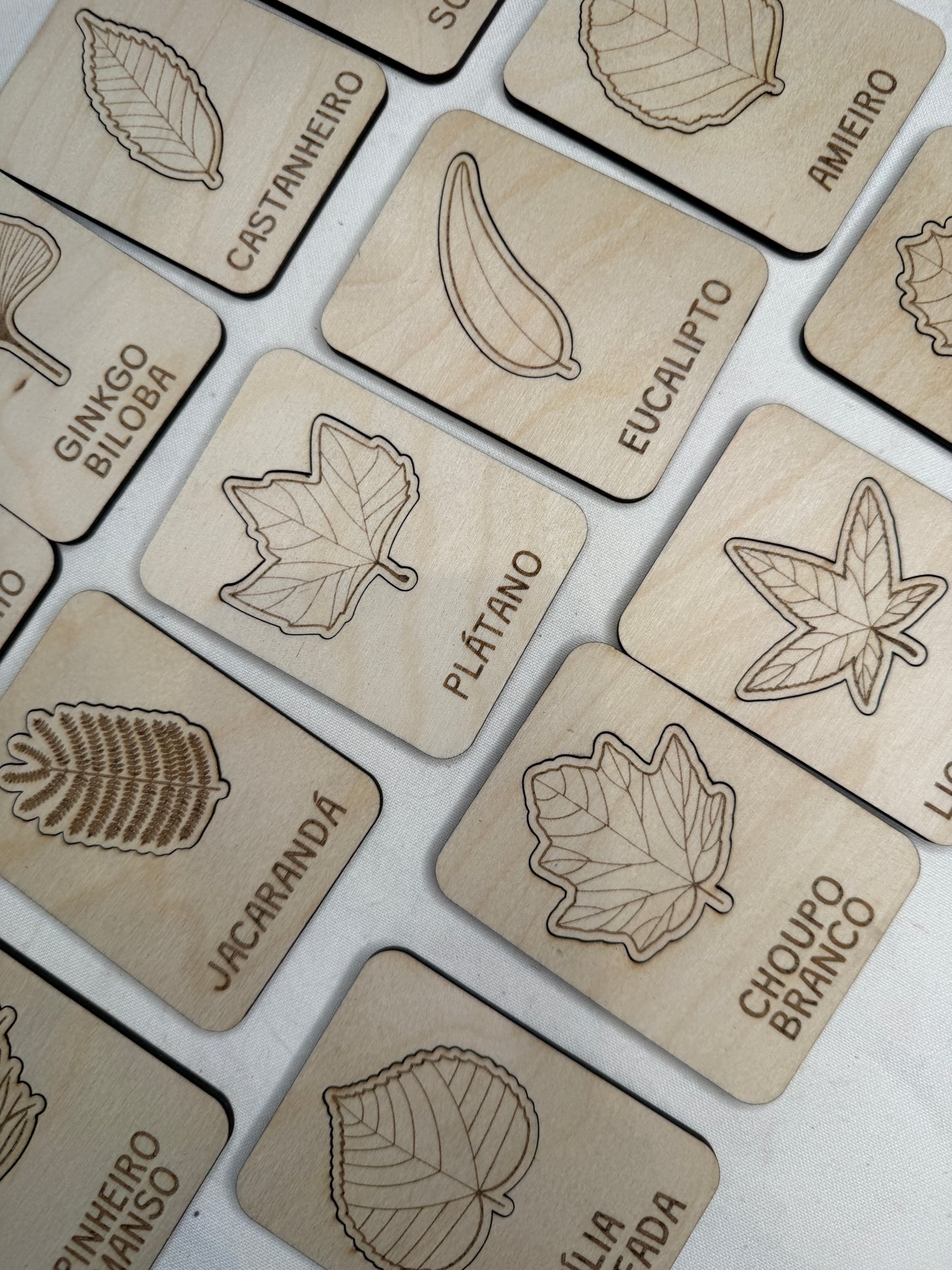 Conheces esta Folha? - Puzzle