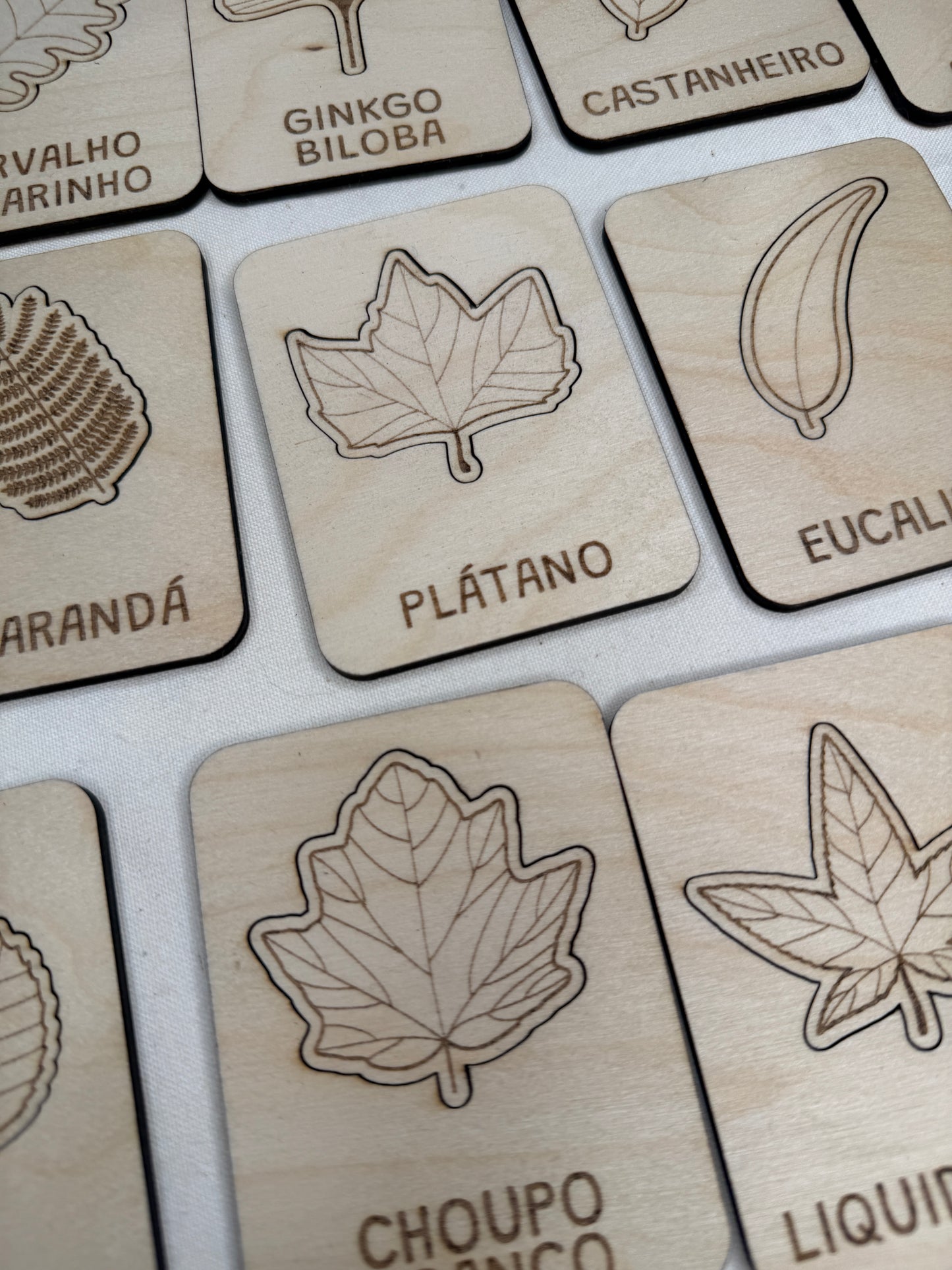 Conheces esta Folha? - Puzzle