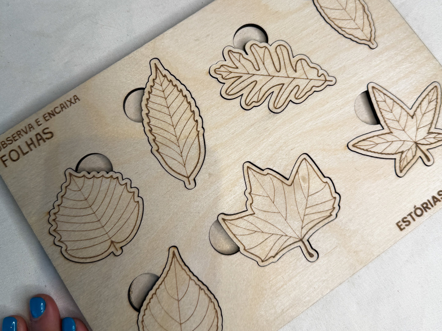 Observa e Encaixa — Folhas