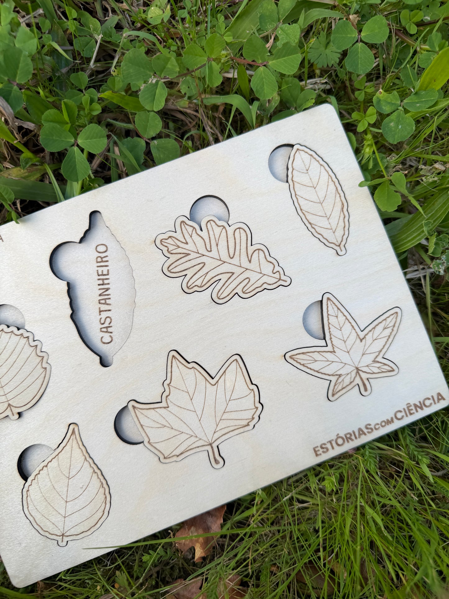 Observa e Encaixa — Folhas