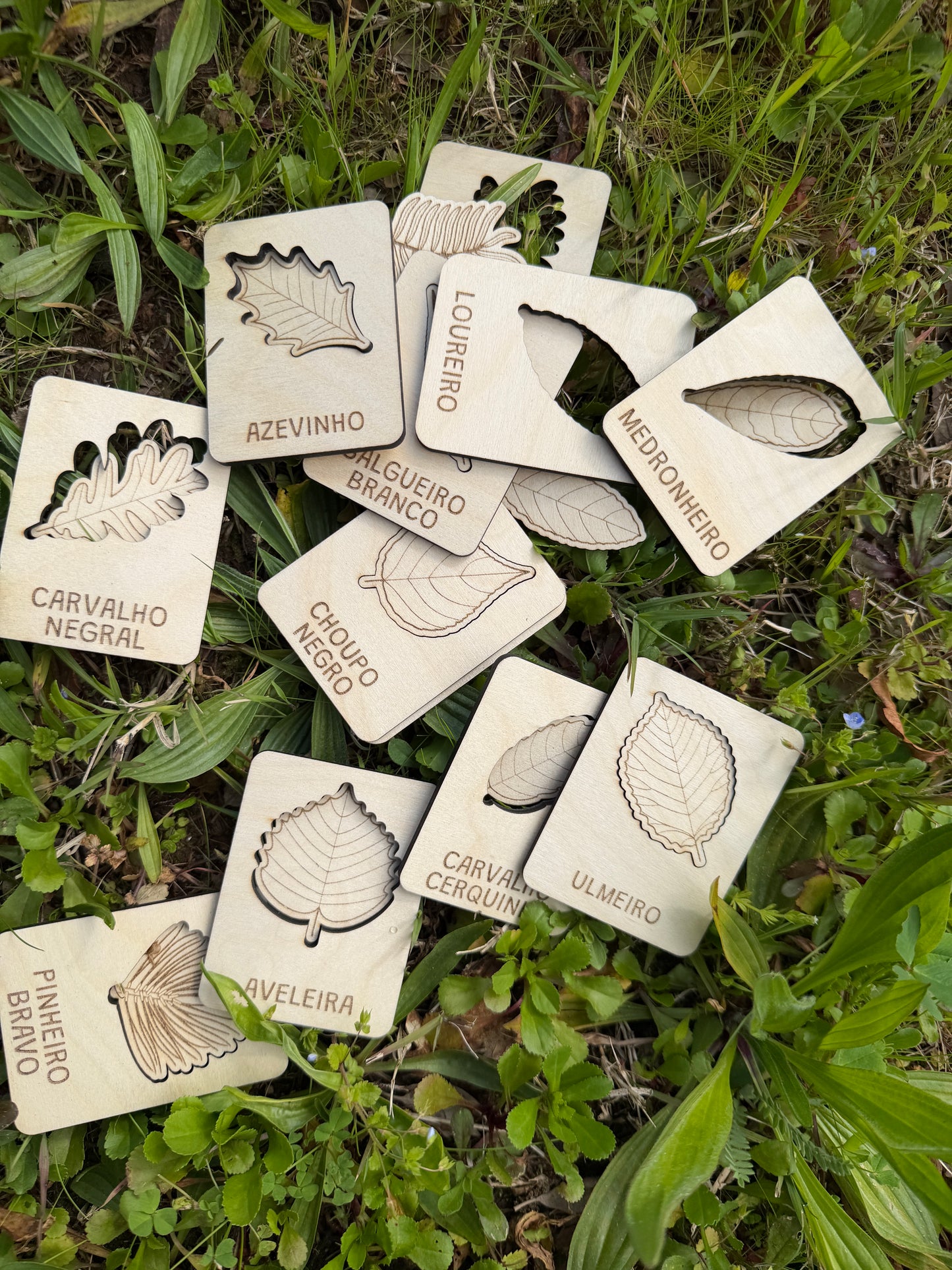 Conheces esta Folha? - Puzzle