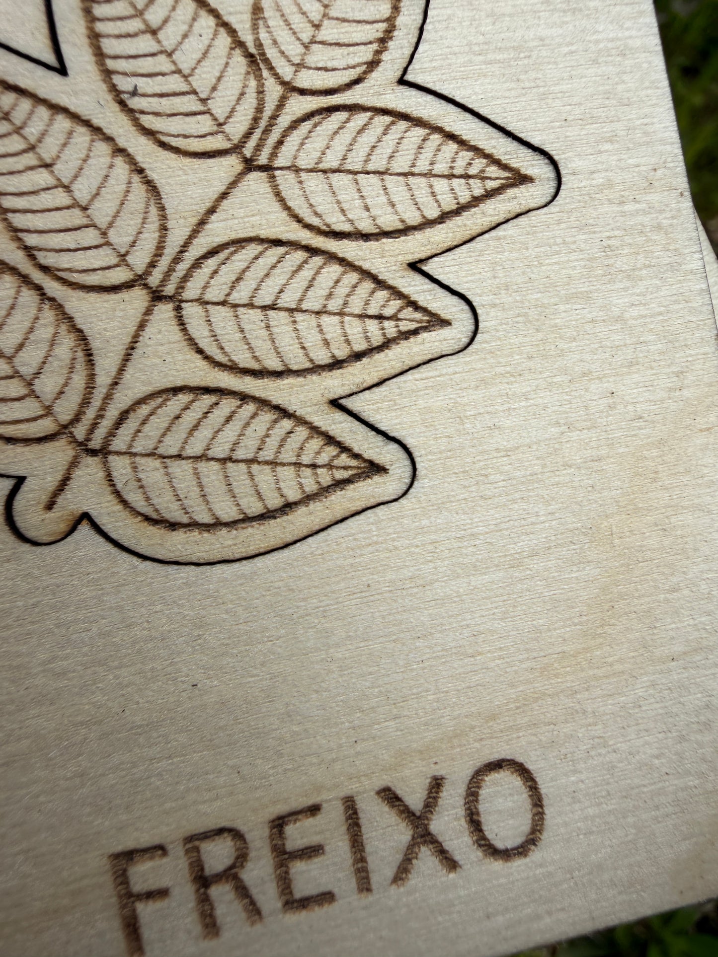 Conheces esta Folha? - Puzzle