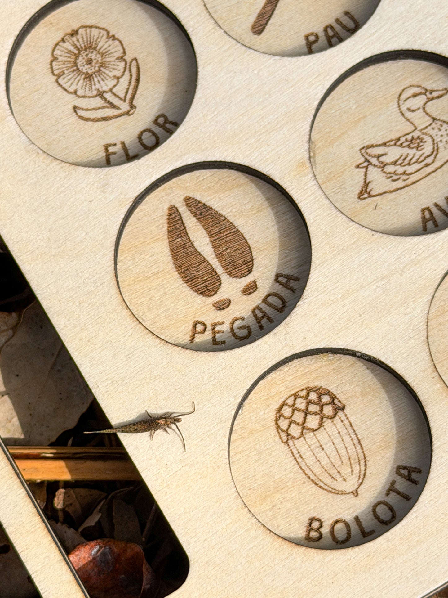 Caça ao Tesouro - Quadro reutilizável