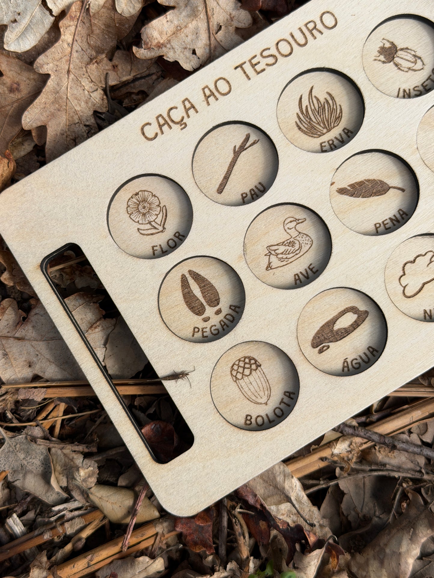 Caça ao Tesouro - Quadro reutilizável