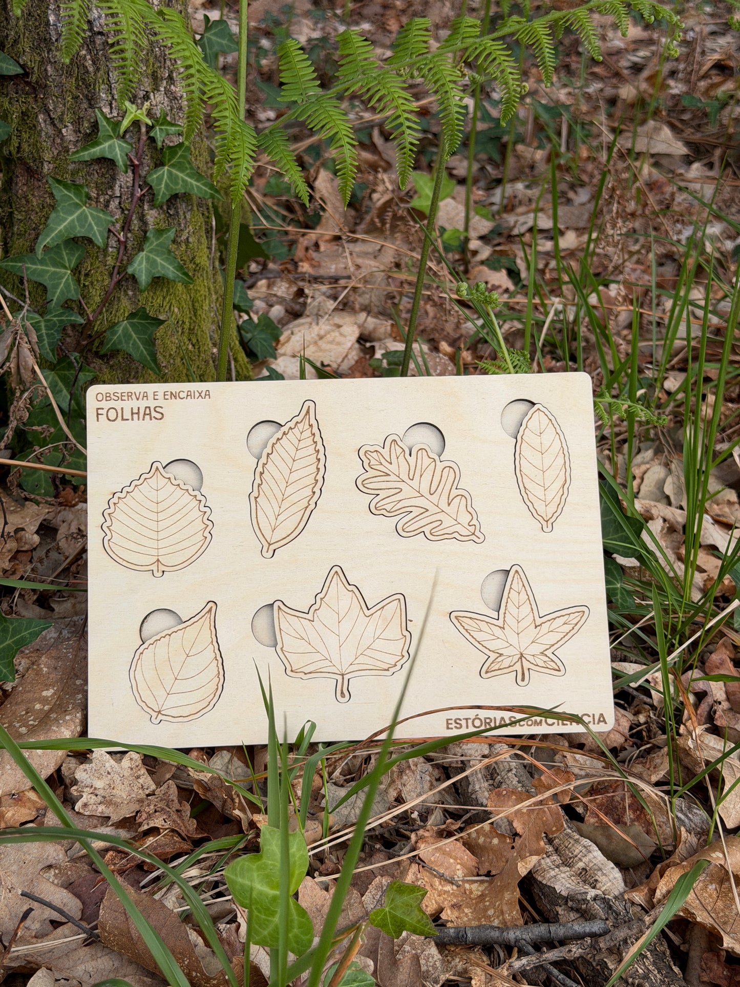 Observa e Encaixa — Folhas