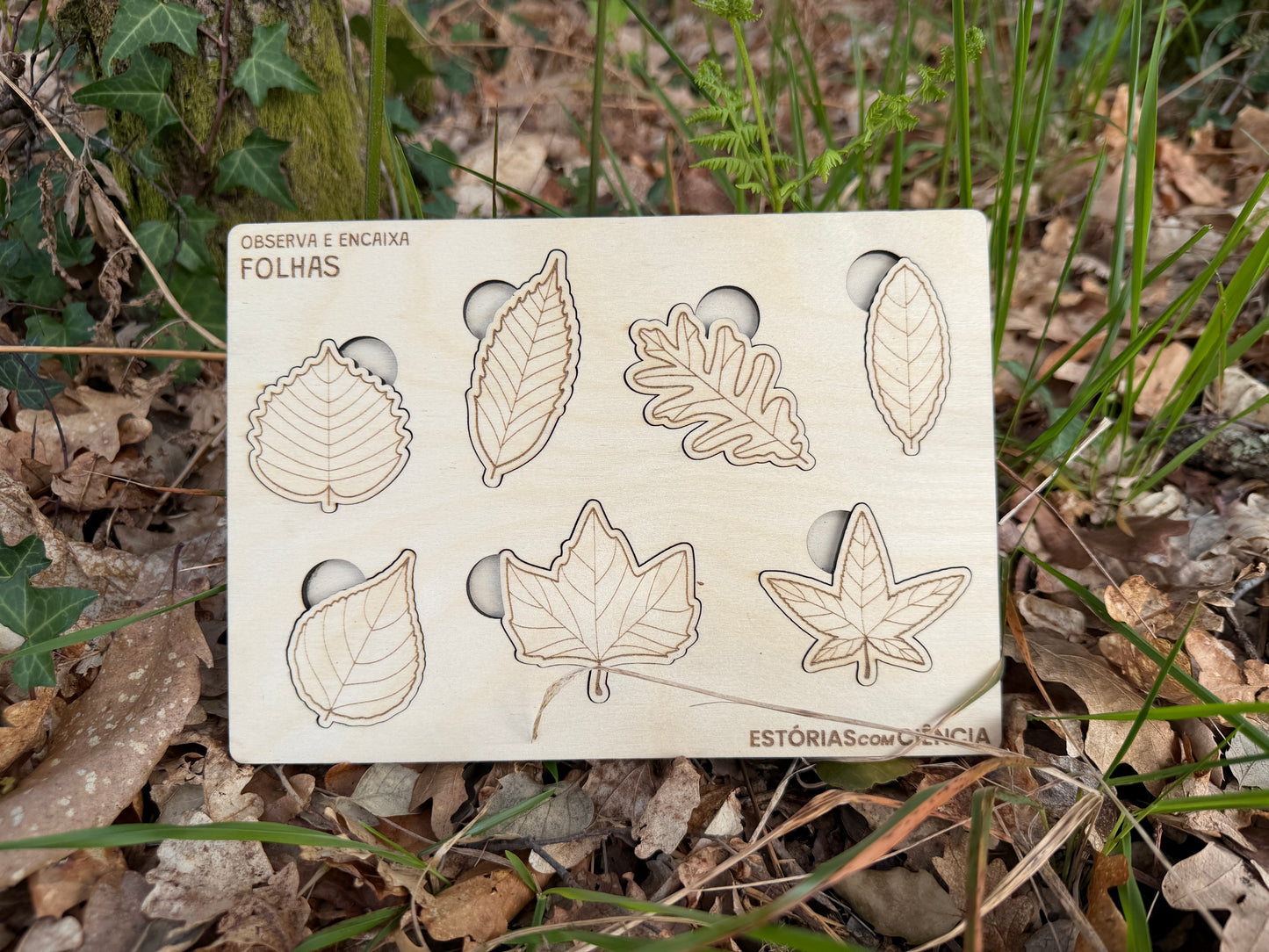 Observa e Encaixa — Folhas