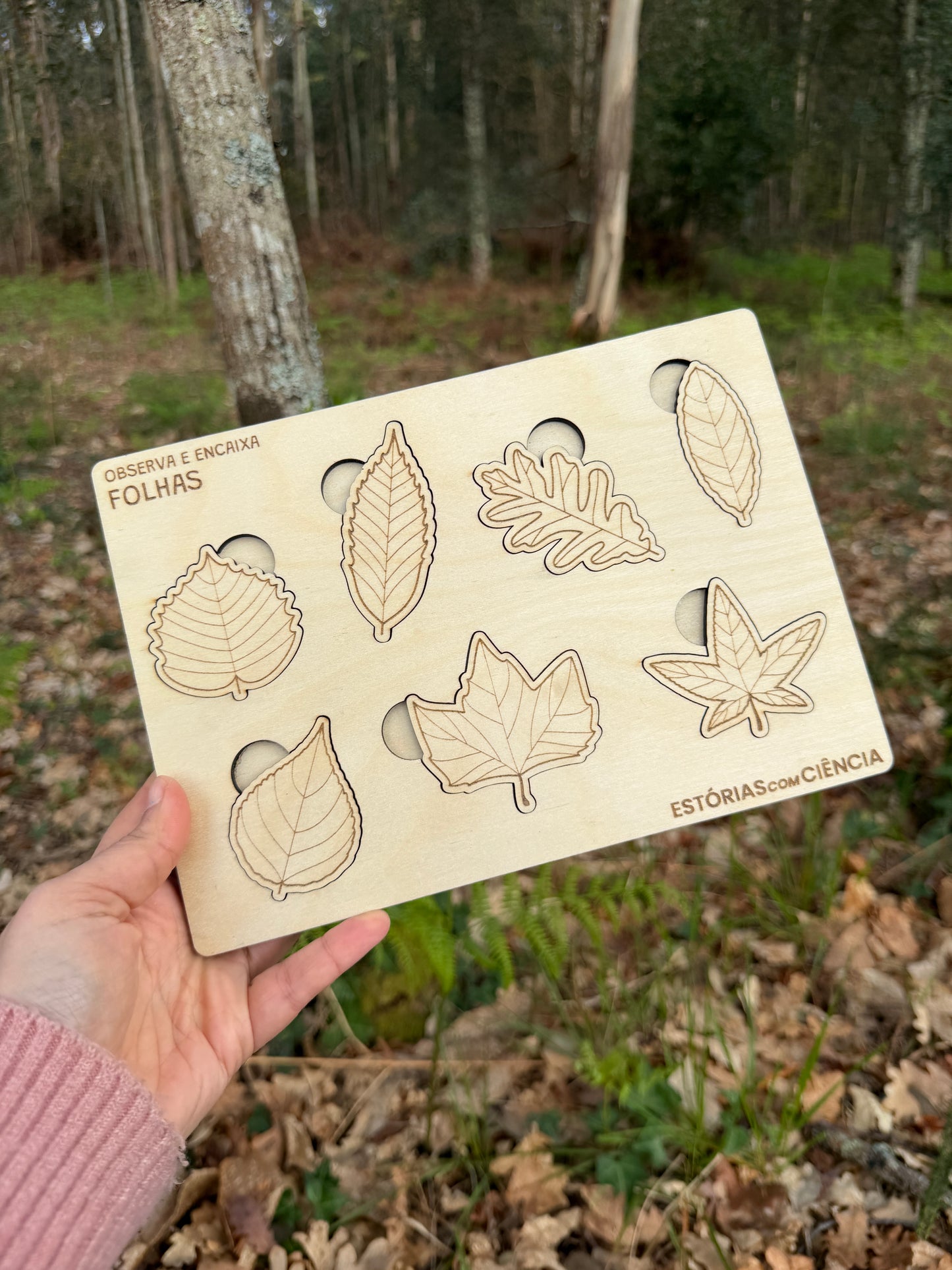 Observa e Encaixa — Folhas