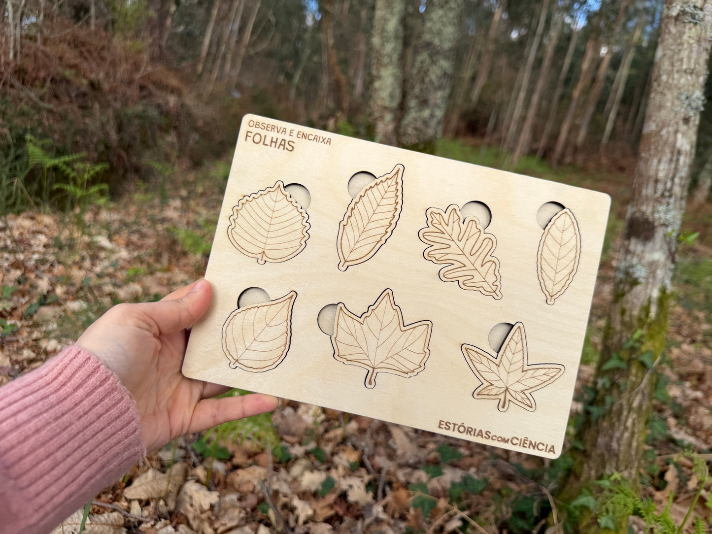 Observa e Encaixa — Folhas