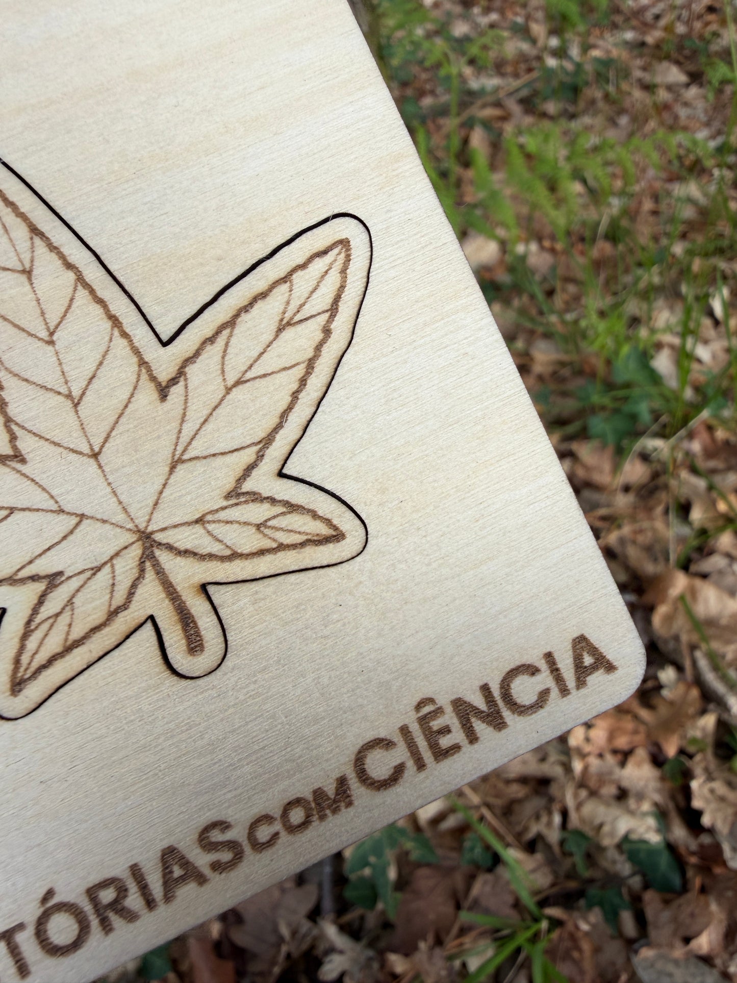 Observa e Encaixa — Folhas