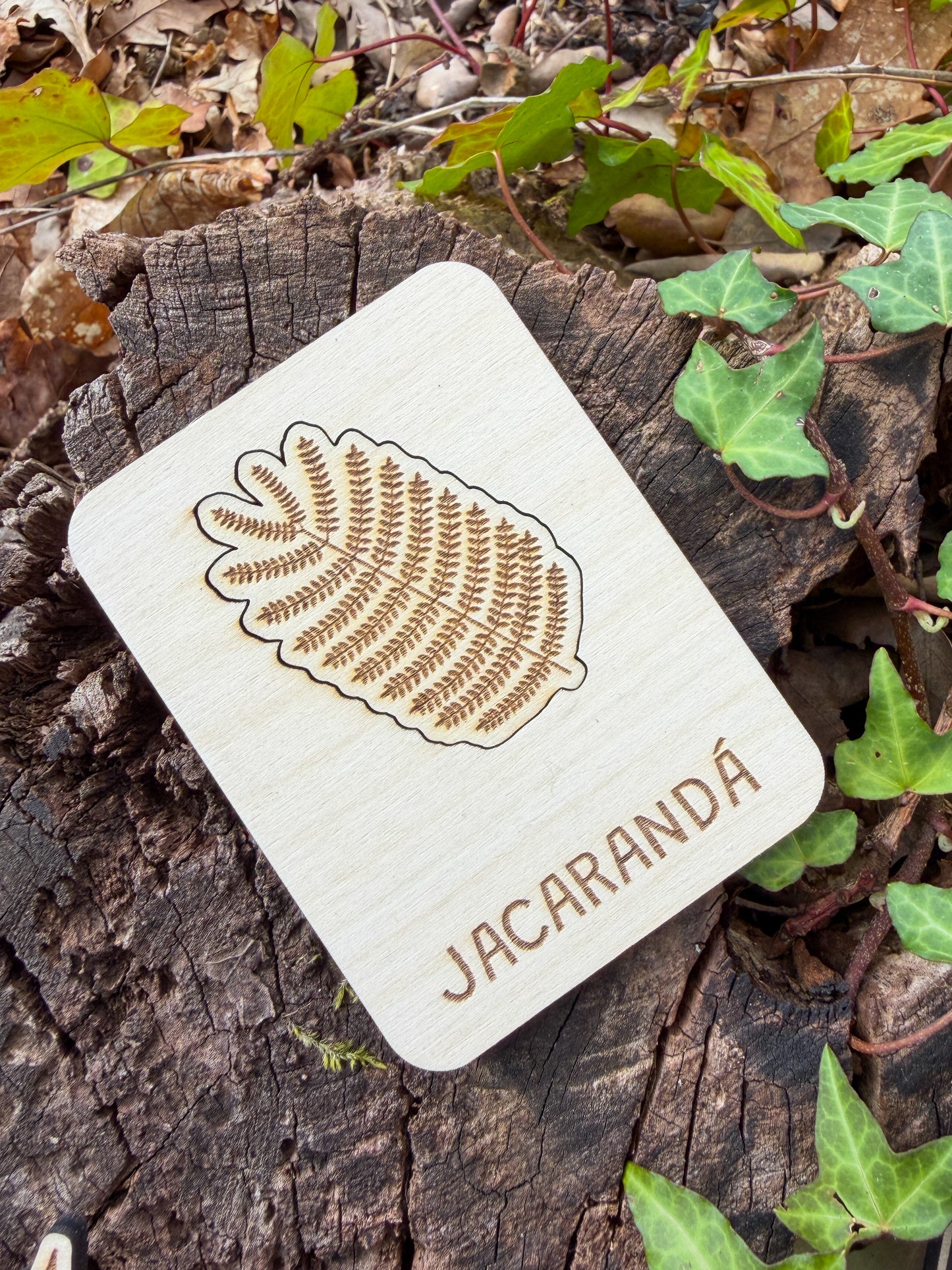 Conheces esta Folha? - Puzzle