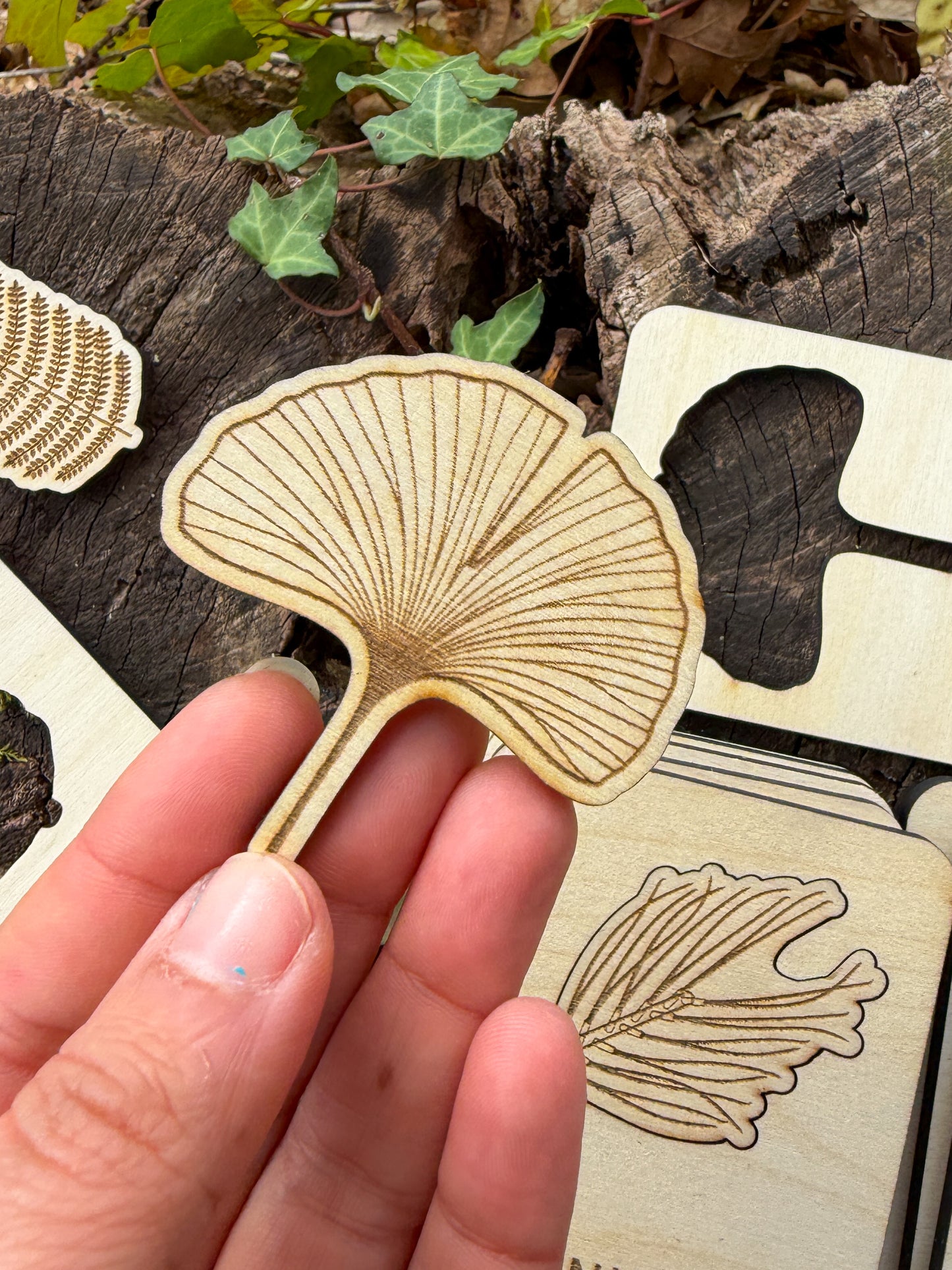 Conheces esta Folha? - Puzzle