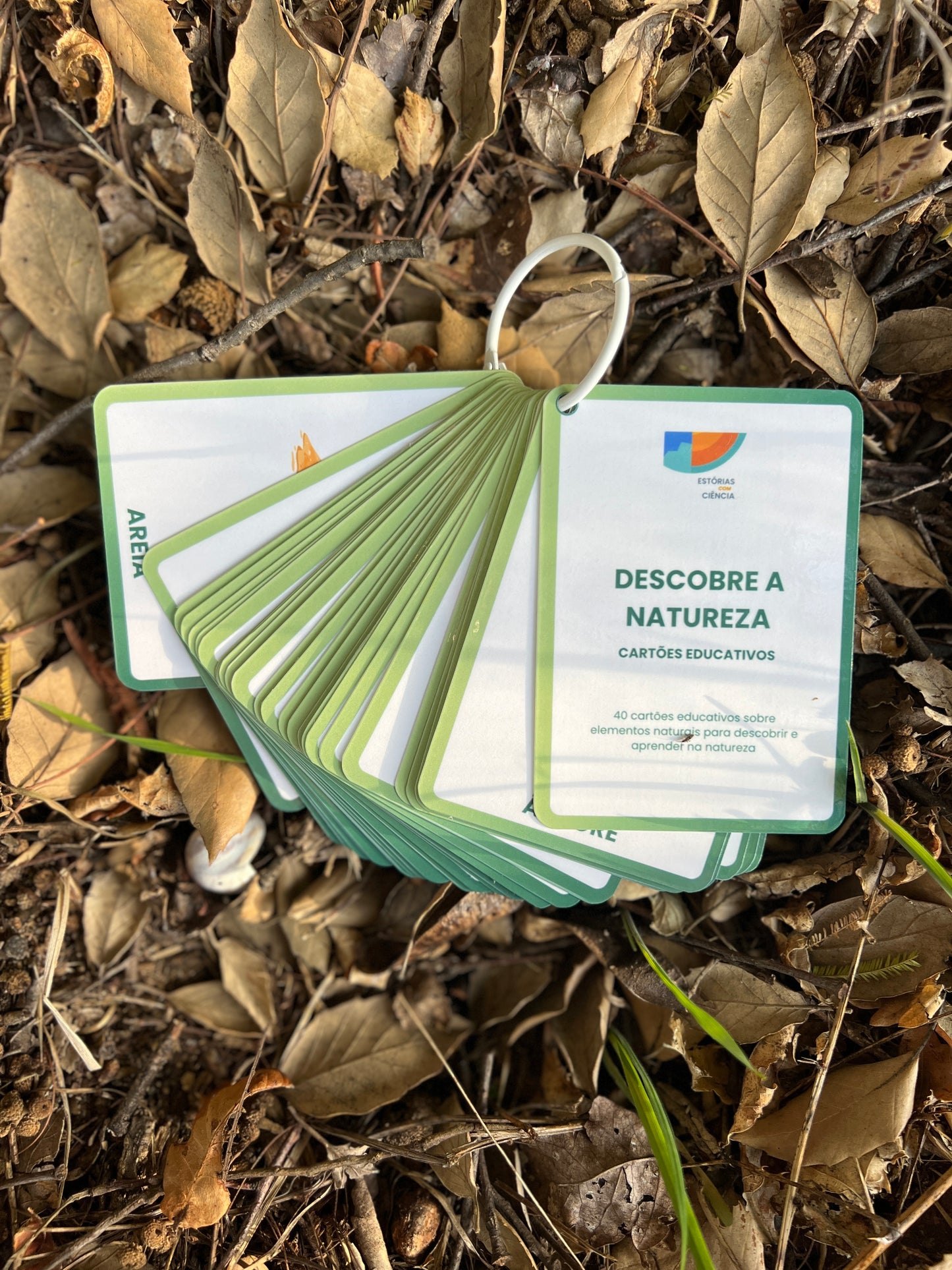 Conjunto Explorador da Natureza