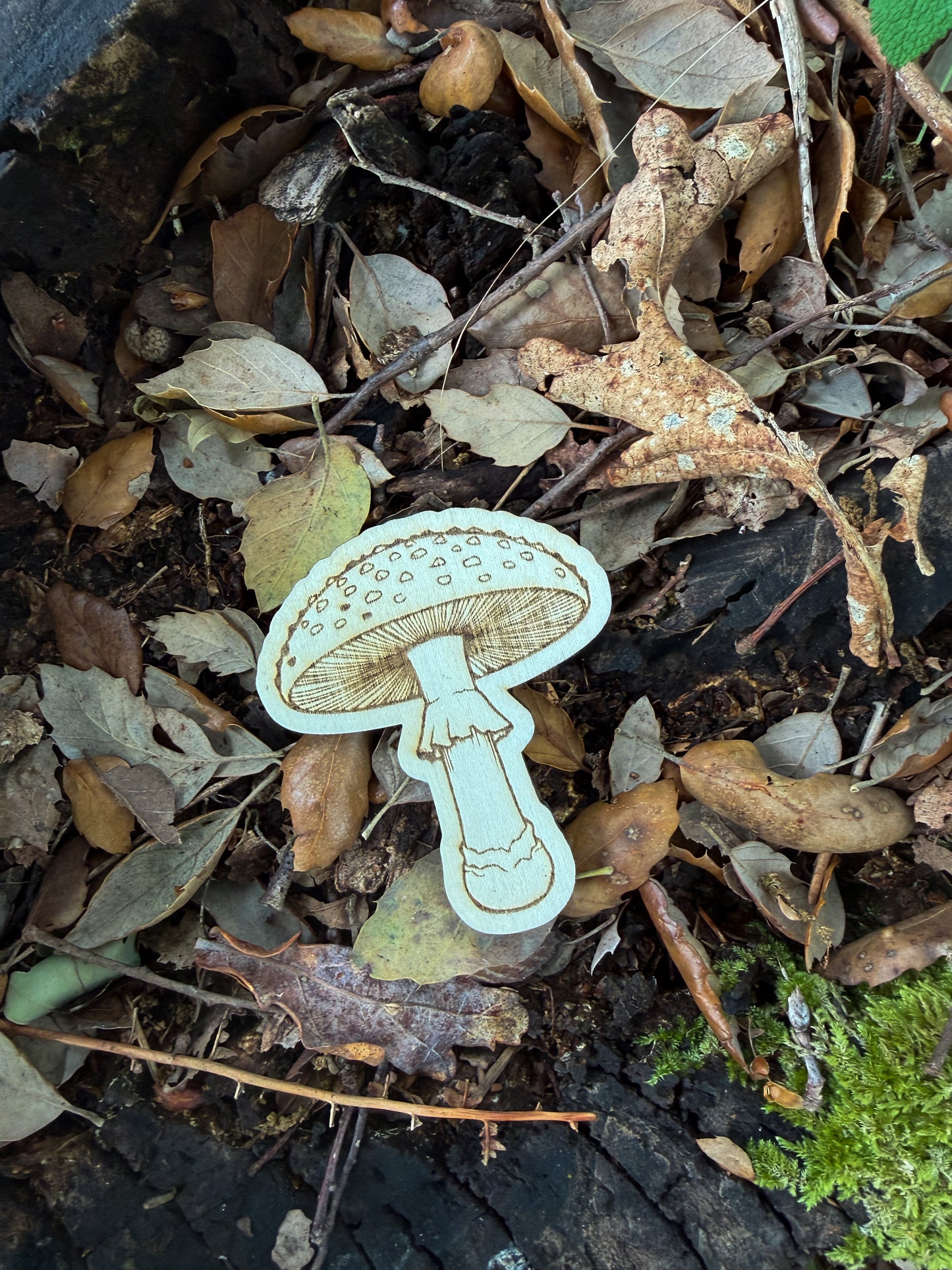 Na Floresta - Puzzle Grande