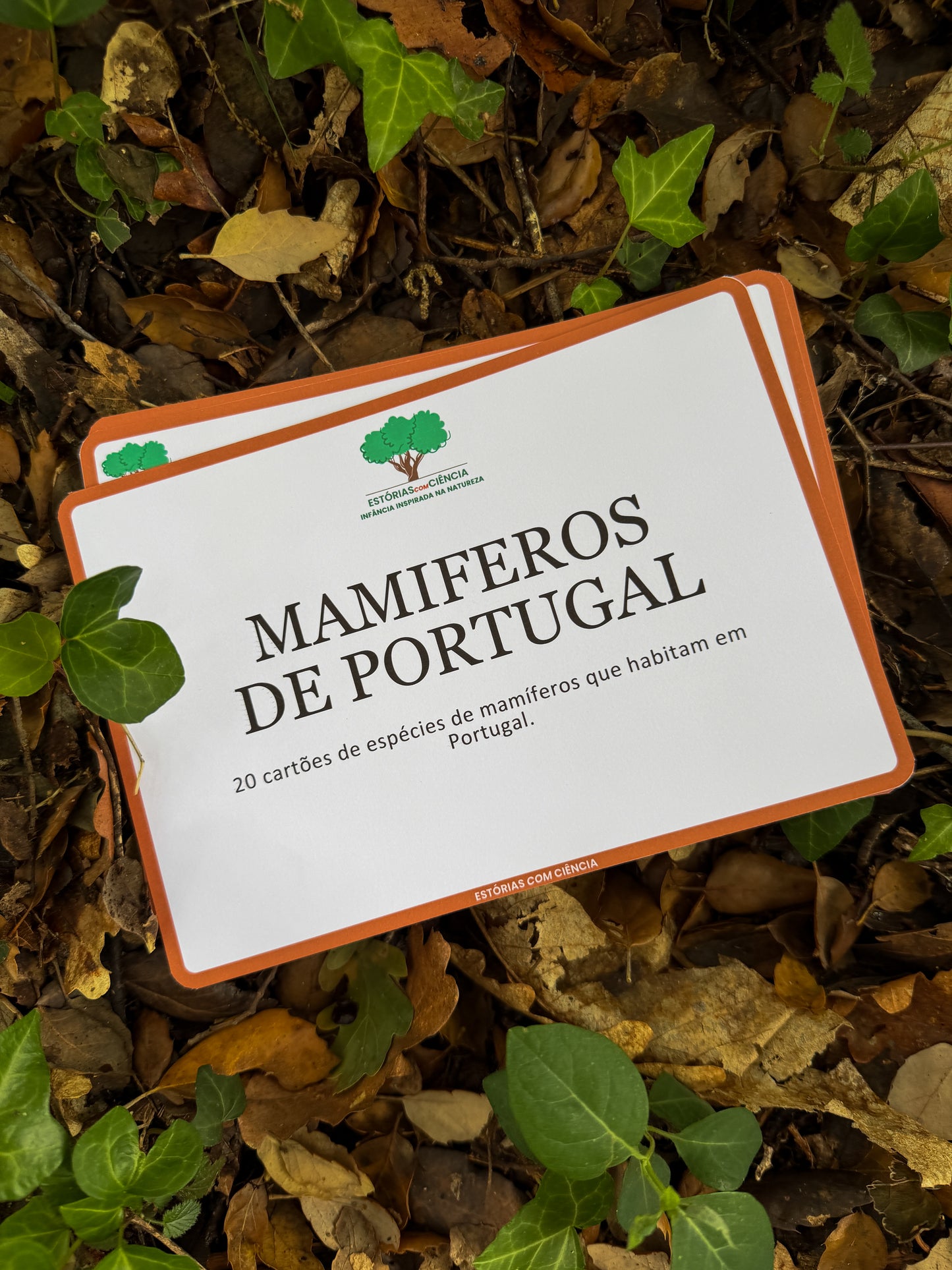 Cartões Pedagógicos - Os Mamíferos