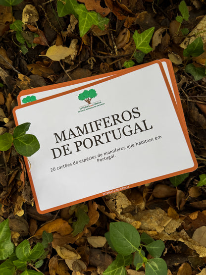 Cartões Pedagógicos - Os Mamíferos
