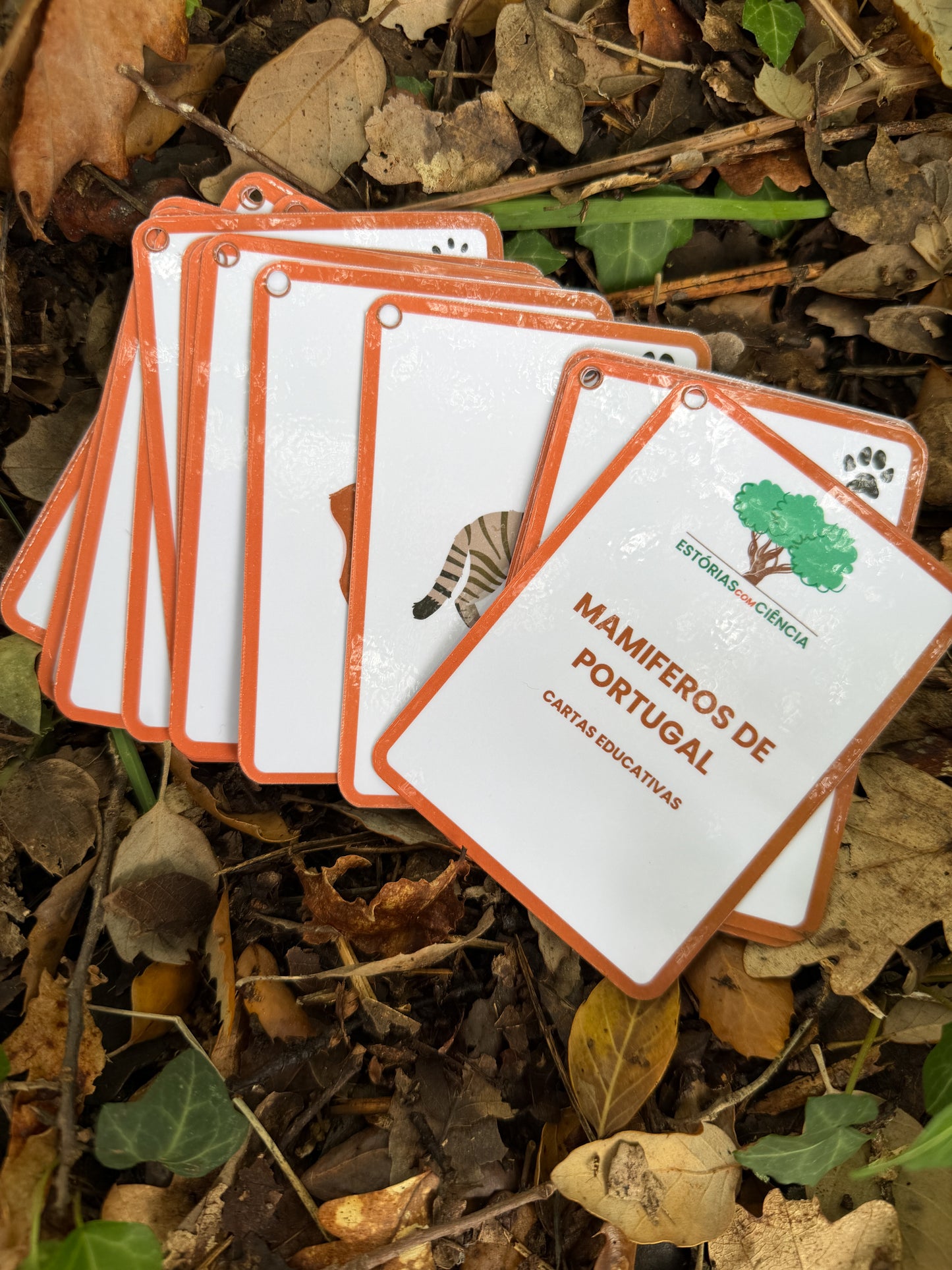 Cartas dos Mamíferos