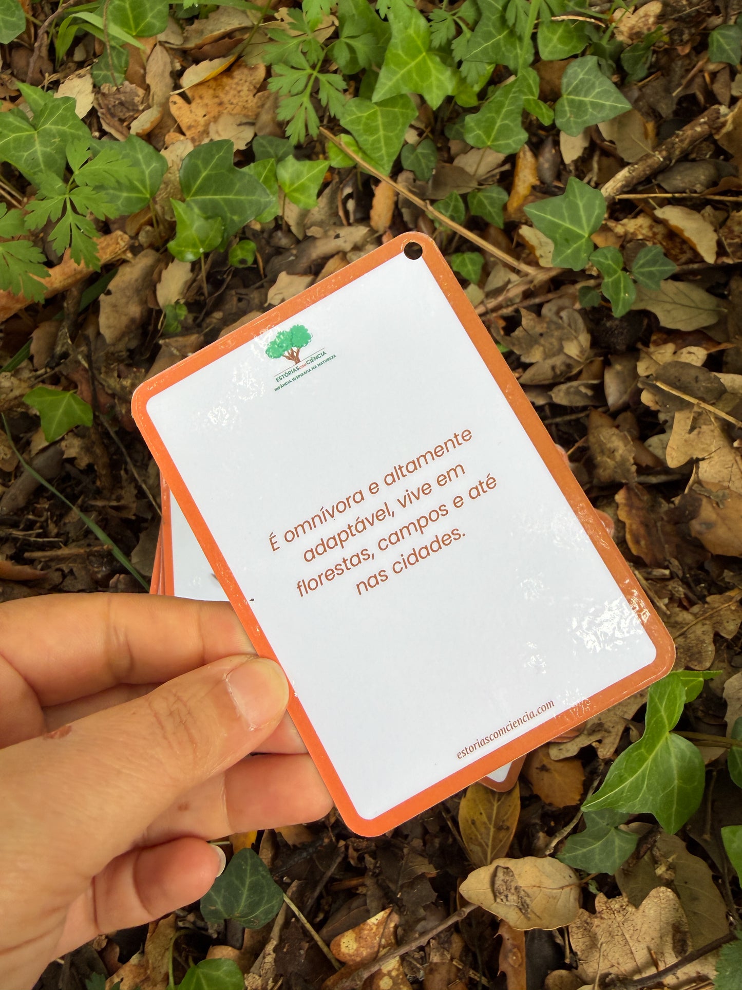 Cartas dos Mamíferos