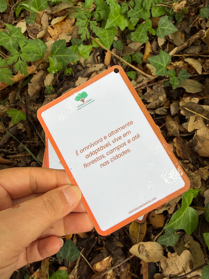 Cartas dos Mamíferos