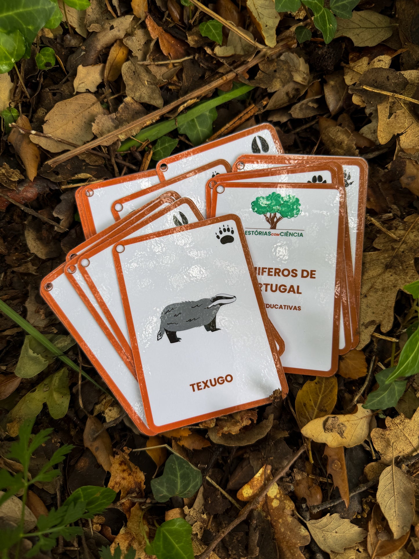 Cartas dos Mamíferos