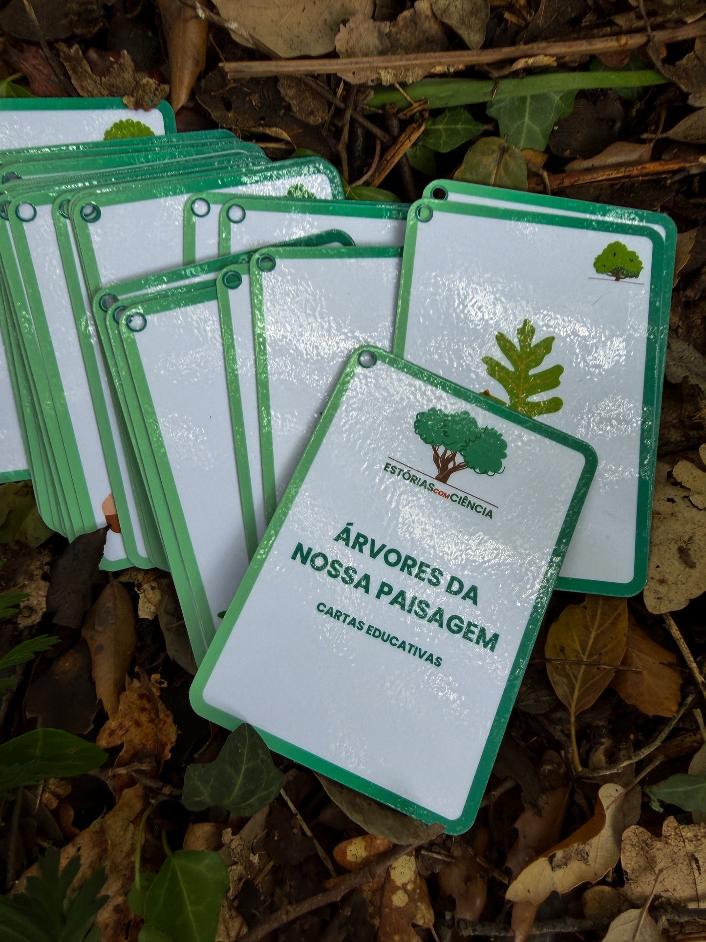 Cartas de Árvores
